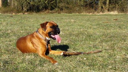 Max 010.jpg