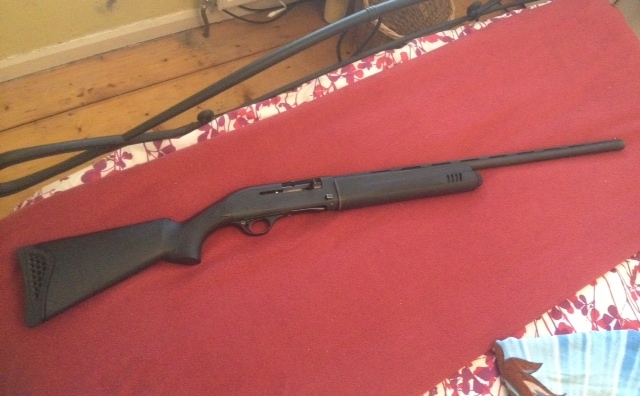 gun.JPG