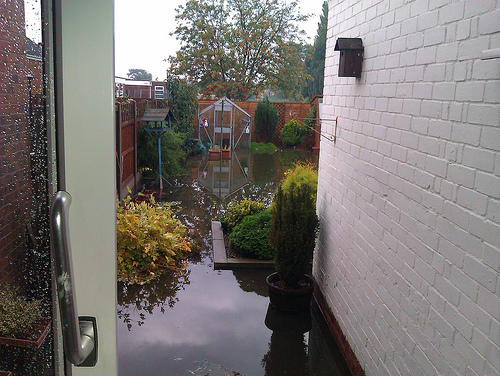 flood 3.jpg