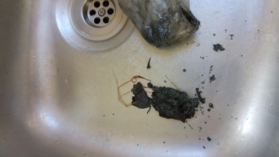 20160130_095919.jpg