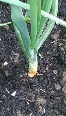 IMAG0670.jpg
