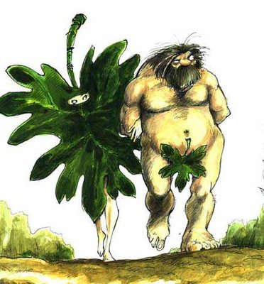 FIG LEAF.jpg