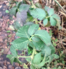 IMG_20230105_120139.jpg