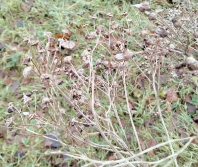 IMG_20230105_120255.jpg