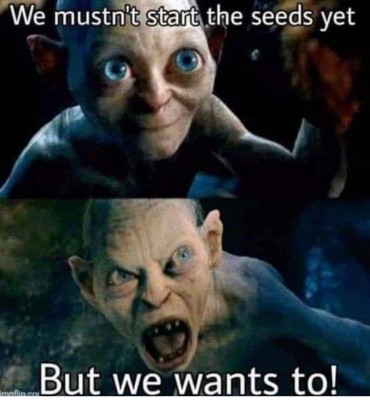 seedsyet.jpg