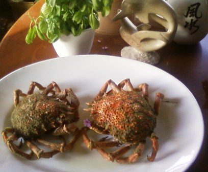umm spidercrab !!
