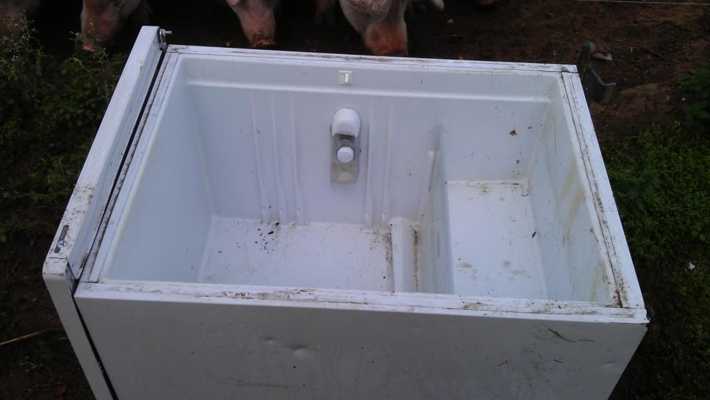 Space inside fridge
